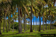 115.2023-01-26-Easter-Island-Men.-115-Your-Hosts-small-collection-of-Easter-island-men.-