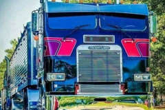 005.2023-01-30-Truck-Art.-5-