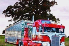 029.2023-01-30-Truck-Art.-29-