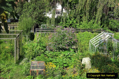 007.2023-07-25-Local-walk-from-Home-to-Evening-Hill-Poole-Dorset-and-return-to-Home.-7-