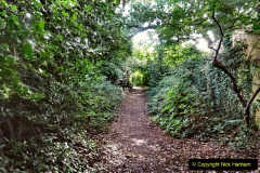 011.2023-07-25-Local-walk-from-Home-to-Evening-Hill-Poole-Dorset-and-return-to-Home.-11-