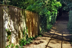 018.2023-07-25-Local-walk-from-Home-to-Evening-Hill-Poole-Dorset-and-return-to-Home.-18-
