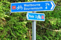 054.2023-07-25-Local-walk-from-Home-to-Evening-Hill-Poole-Dorset-and-return-to-Home.-54-