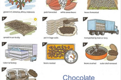 082.2023-07-07-World-Chocolate-Day.-82-