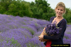 2023 July 13 Lavender