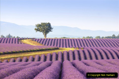 002.2023-07-13-Lavender-2-