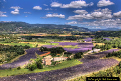 018.2023-07-13-Lavender-18-