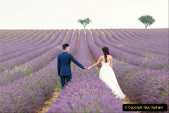 058.2023-07-13-Lavender-58-