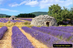 062.2023-07-13-Lavender-62-