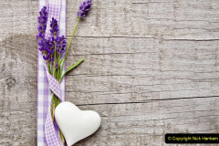 071.2023-07-13-Lavender-71-