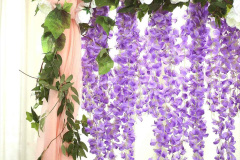 072.2023-07-13-Lavender-72-