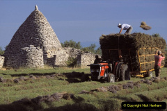 078.2023-07-13-Lavender-78-