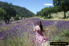 087.2023-07-13-Lavender-87-