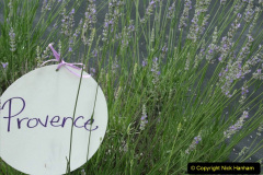 090.2023-07-13-Lavender-90-
