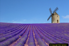 091.2023-07-13-Lavender-91-