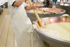 058.2023-07-16-World-Ice-Cream.-58-