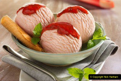 085.2023-07-16-World-Ice-Cream.-85-