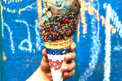 108.2023-07-16-World-Ice-Cream.-108-