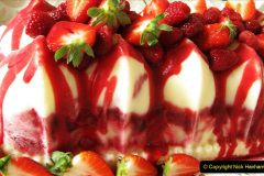 122.2023-07-16-World-Ice-Cream.-122-