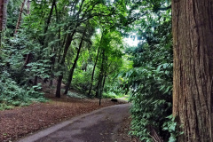 022.2023-07-18-To-Westbourne-for-breakfast-then-walk-Alum-Chine-to-Bournemouth-and-home.-22-