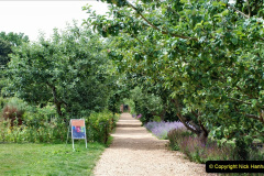 003.2023-07-19-The-Vyne-NT-Near-Basingstoke-Hampshire.-3-
