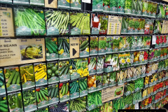 012.2023-07-24-Holme-Garden-Centre-Near-Wareham-Dorset.-12-