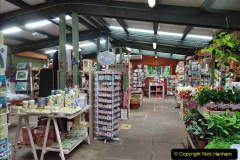 013.2023-07-24-Holme-Garden-Centre-Near-Wareham-Dorset.-13-