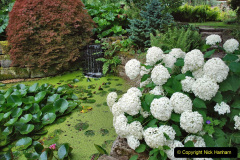 022.2023-07-24-Holme-Garden-Centre-Near-Wareham-Dorset.-22-