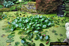 023.2023-07-24-Holme-Garden-Centre-Near-Wareham-Dorset.-23-