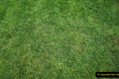 029.2023-07-24-Holme-Garden-Centre-Near-Wareham-Dorset.-29-