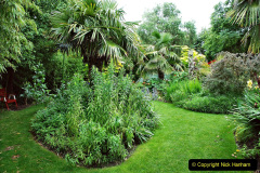 041.2023-07-24-Holme-Garden-Centre-Near-Wareham-Dorset.-41-