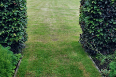 059.2023-07-24-Holme-Garden-Centre-Near-Wareham-Dorset.-59-