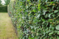 060.2023-07-24-Holme-Garden-Centre-Near-Wareham-Dorset.-60-