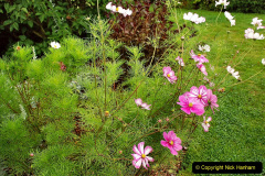 064.2023-07-24-Holme-Garden-Centre-Near-Wareham-Dorset.-64-