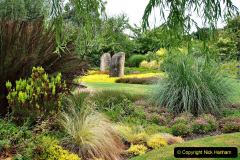 086.2023-07-24-Holme-Garden-Centre-Near-Wareham-Dorset.-86-