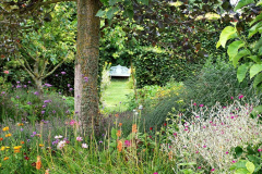 089.2023-07-24-Holme-Garden-Centre-Near-Wareham-Dorset.-89-