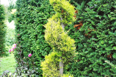 095.2023-07-24-Holme-Garden-Centre-Near-Wareham-Dorset.-95-