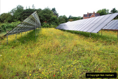 138.2023-07-24-Holme-Garden-Centre-Near-Wareham-Dorset.-138-