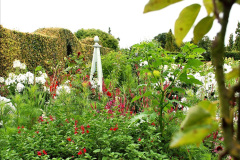 145.2023-07-24-Holme-Garden-Centre-Near-Wareham-Dorset.-145-