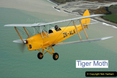 016.2023-07-27-Moths-Butterflies.-16-