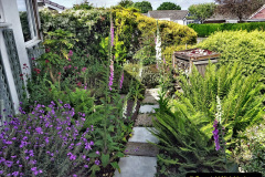 004.2023-06-02-A-Poole-garden-in-early-June.-4-