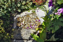 010.2023-06-02-A-Poole-garden-in-early-June.-10-