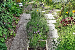 044.2023-06-02-A-Poole-garden-in-early-June.-44-