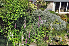 070.2023-06-02-A-Poole-garden-in-early-June.-70-