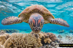 018.2023-June.-Coral-Reefs-of-the-Woirld.-18-