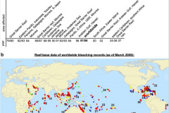 035.2023-June.-Coral-Reefs-of-the-Woirld.-35-