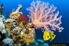 060.2023-June.-Coral-Reefs-of-the-Woirld.-60-