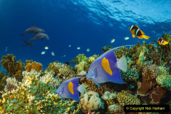061.2023-June.-Coral-Reefs-of-the-Woirld.-61-