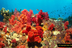 062.2023-June.-Coral-Reefs-of-the-Woirld.-62-