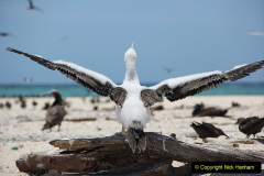 063.2023-June.-Coral-Reefs-of-the-Woirld.-63-